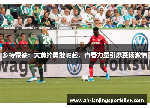 多特蒙德：大黄蜂勇敢崛起，青春力量引爆赛场激情
