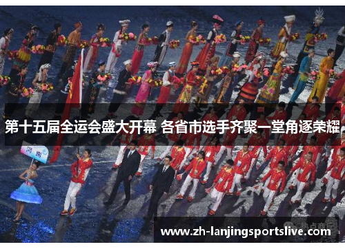 第十五届全运会盛大开幕 各省市选手齐聚一堂角逐荣耀 第十五届全运会盛大开幕 各省市选手齐聚一堂角逐荣耀